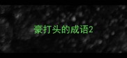 豪打头的成语