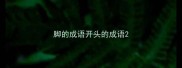 脚的成语开头的成语