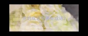 抱的成语有哪些成语
