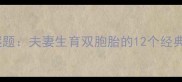 双胞胎成语谜题夫妻生育双胞胎的12个经典谜题及答案