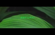 成语什么水什