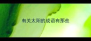 有关太阳的成语有那些