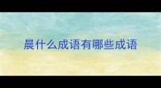 晨什么成语有哪些成语