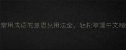 100个常用成语的意思及用法全轻松掌握中文精髓
