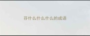 芬什么什么什么的成语