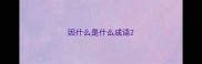 因什么是什么成语