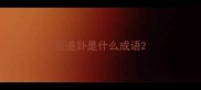尼道卦是什么成语