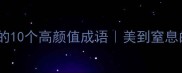 暮字开头的10个高颜值成语美到窒息的意境表达