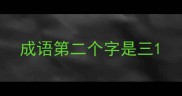 成语第二个字是三