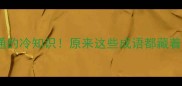 一空不通的冷知识原来这些成语都藏着千年智慧