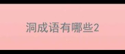 洞成语有哪些