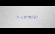 怀与酒的成语