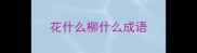 花什么柳什么成语