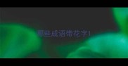哪些成语带花字
