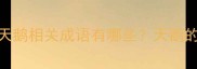天鹅成语大全天鹅相关成语有哪些天鹅的象征意义及用法