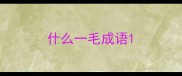 什么一毛成语
