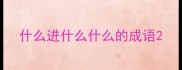 什么进什么什么的成语