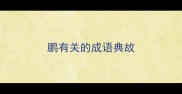 鹏有关的成语典故