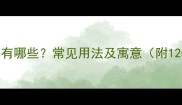 形容失踪的成语有哪些常见用法及寓意附120个经典案例