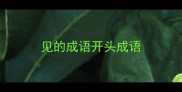 见的成语开头成语
