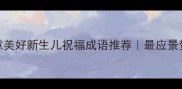 10个寓意美好新生儿祝福成语推荐最应景贺词指南
