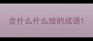 含什么什么放的成语