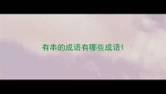 有串的成语有哪些成语