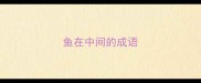 鱼在中间的成语