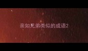 亲如兄弟类似的成语