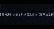10个最常用的表痛苦的成语及详细附用法示例