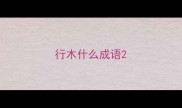 行木什么成语
