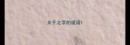 关于之字的成语