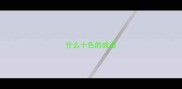 什么十色的成语