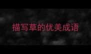描写草的优美成语