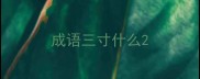 成语三寸什么