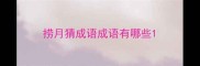 捞月猜成语成语有哪些