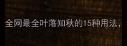 一秋一叶打一成语全网最全叶落知秋的15种用法看完秒变表达高手