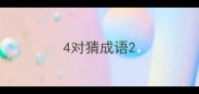 4对猜成语