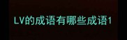 LV的成语有哪些成语