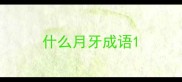 什么月牙成语