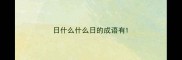 日什么什么日的成语有