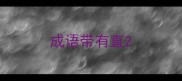成语带有直