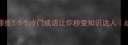 带来受的成语有哪些5个冷门成语让你秒变知识达人成语大全语文必备