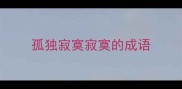 孤独寂寞寂寞的成语