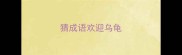 猜成语欢迎乌龟