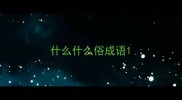 什么什么俗成语