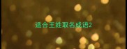 适合王姓取名成语
