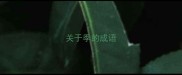 关于季的成语