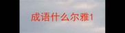 成语什么尔雅