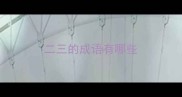 二三的成语有哪些